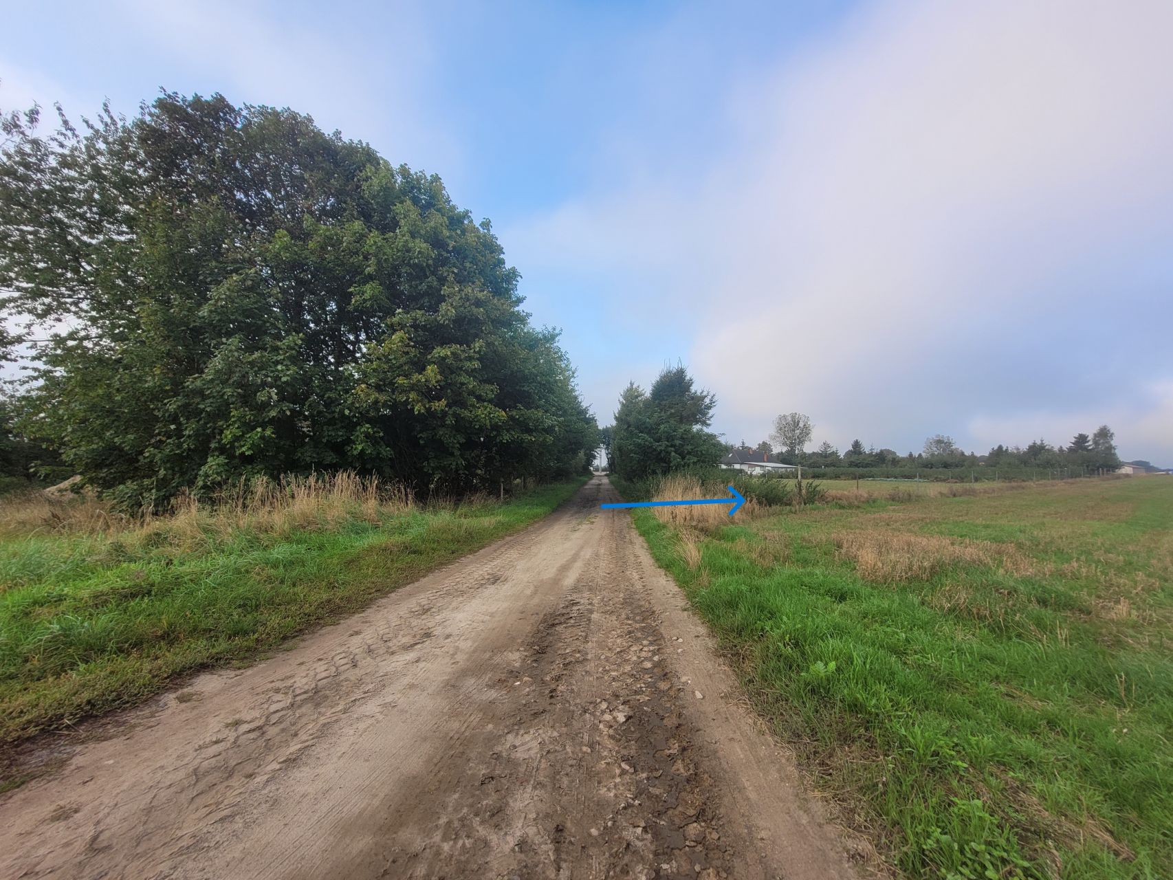 Działka budowlana z warunkami zabudowy — Sąborze, gm. Damnica, zdjęcie 2